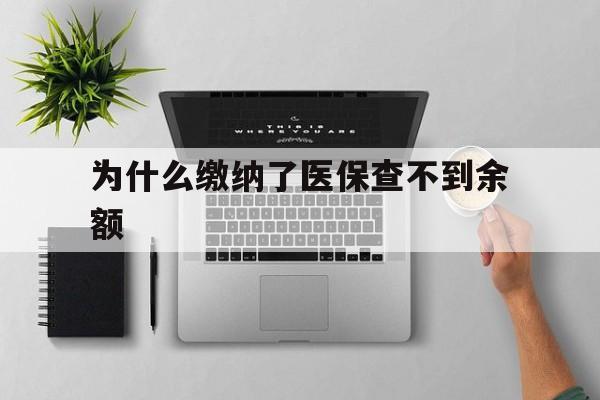 玉溪最新为什么缴纳了医保查不到余额方法分析(最方便真实的玉溪医保交了费怎么查不到方法)